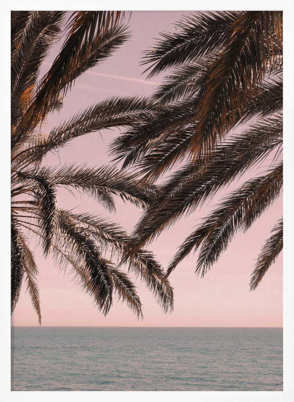 Tablou înramat „Palm_011” de Pictufy Studio III