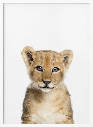 Tablou înramat „Baby Lion” de Kathrin Pienaar