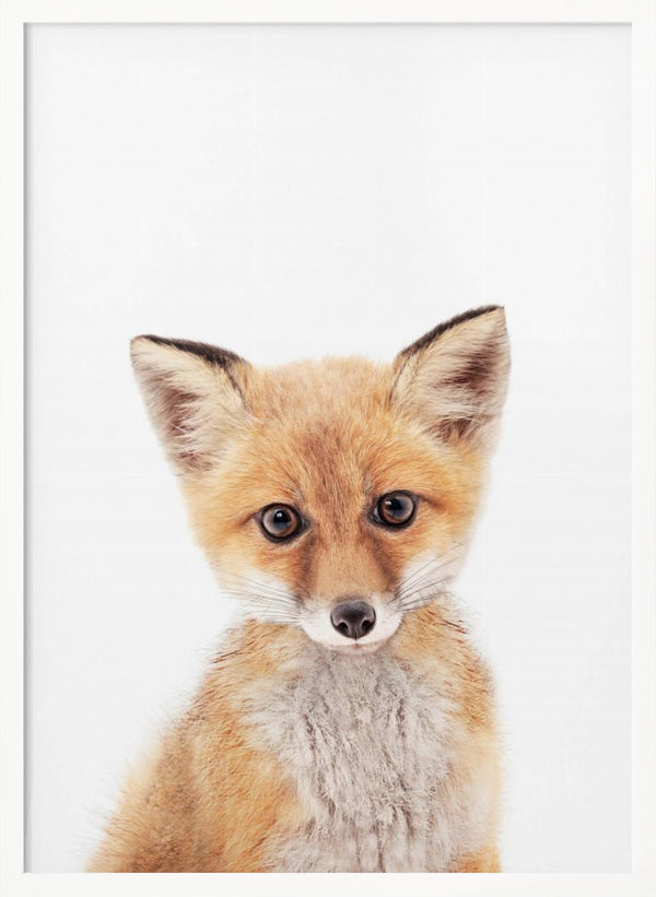 Tablou înramat „Baby Fox” de Kathrin Pienaar