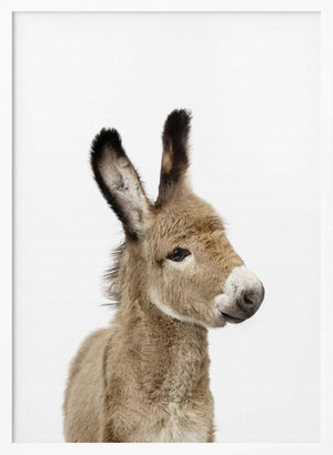 Tablou înramat „Baby Donkey” de Kathrin Pienaar