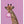 Tablou înramat „Giraffe pink bubblegum” de Sarah Manovski