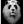 Tablou înramat „PANDALION” de Adam Lawless