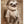 Tablou înramat „STUDENT SLOTH” de Adam Lawless