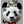 Tablou înramat „cat on panda bear” de Adam Lawless