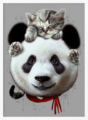 Tablou înramat „cat on panda bear” de Adam Lawless
