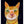 Tablou înramat „Ginger Cat” de Sharyn Bursic