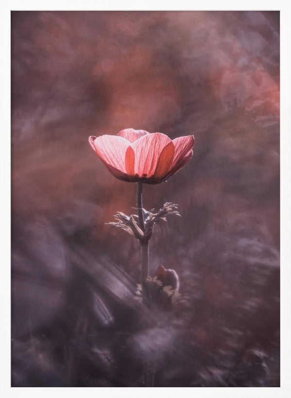 Tablou înramat „Ardente” de Fabien BRAVIN