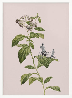 Tablou înramat „Botanical cycling” de Frida Floral Studio