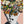 Tablou înramat „Twiggy surprise” de Frida Floral Studio