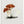 Tablou înramat „Hand Drawn Rufous Milkcap Mushroom” de Biodiversity Heritage Library