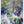 Tablou înramat „Vibrant Tapestry” de Dorothy Fagan