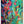 Tablou înramat „Vivid Colors And Delicate Petals” de Dorothy Fagan