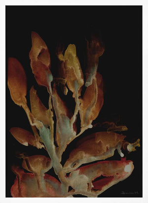 Tablou înramat „Night Plant” de Dan Hobday