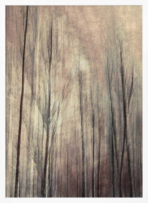 Tablou înramat „Fall forest” de Christina Sillen
