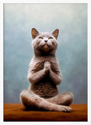 Tablou înramat „Cat yoga 13” de Justyna Jaszke