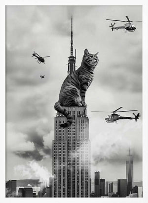 Tablou înramat „Cat on top” de Dikhotomy