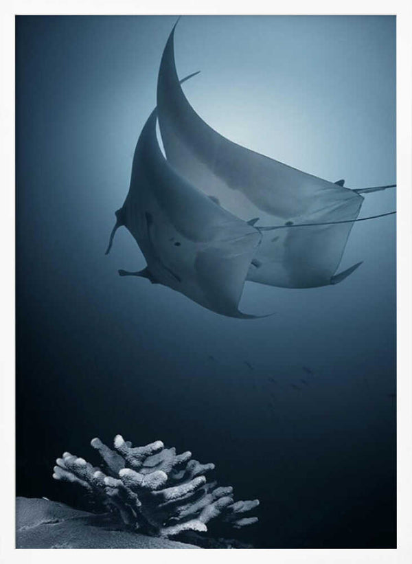 Tablou înramat „Sonata” de Andrey Narchuk