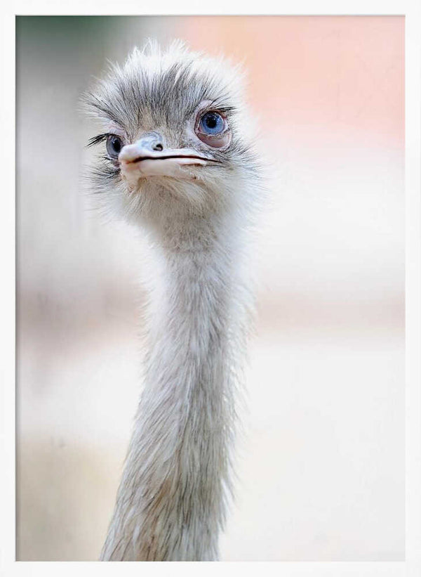 Tablou înramat „natural beauty” de Fulvio Pellegrini