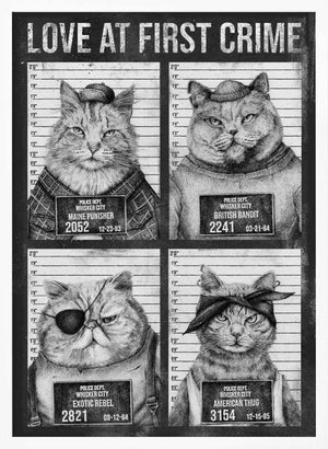 Tablou înramat „Love At First Crime” de Mike Koubou