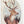 Tablou înramat „Deer In A Rustic Outfit” de Mike Koubou