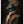 Tablou înramat „Peacock Portrait” de Andreas Magnusson
