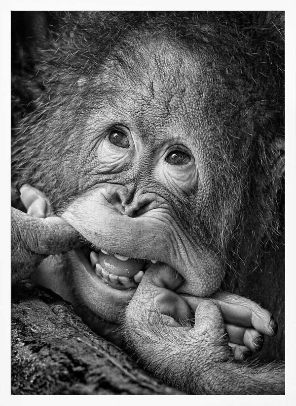 Tablou înramat „Big Smile.....please” de Angela Muliani Hartojo