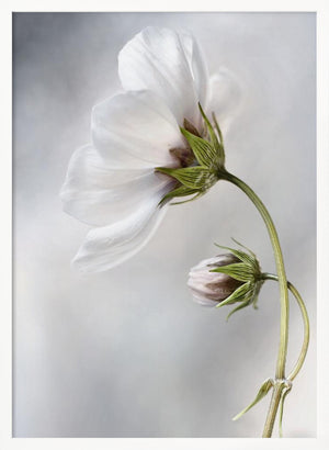 Tablou înramat „Heavenly Cosmos” de Mandy Disher