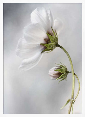 Tablou înramat „Heavenly Cosmos” de Mandy Disher