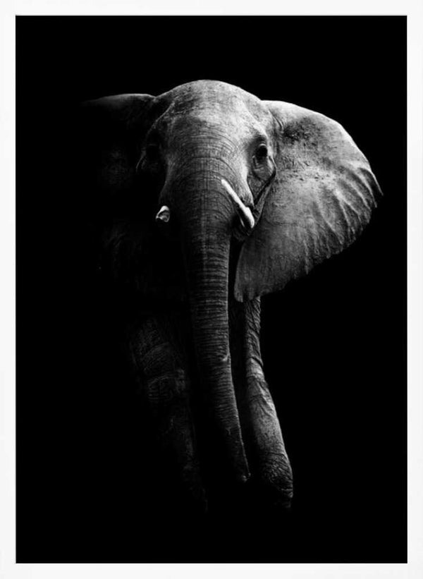 Tablou înramat „Elephant!” de WildPhotoArt