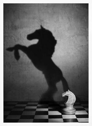 Tablou înramat „The soul of a mustang” de Victoria  Glinka