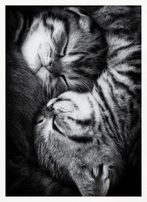 Tablou înramat „Yin and Yang” de Andrea Jancova