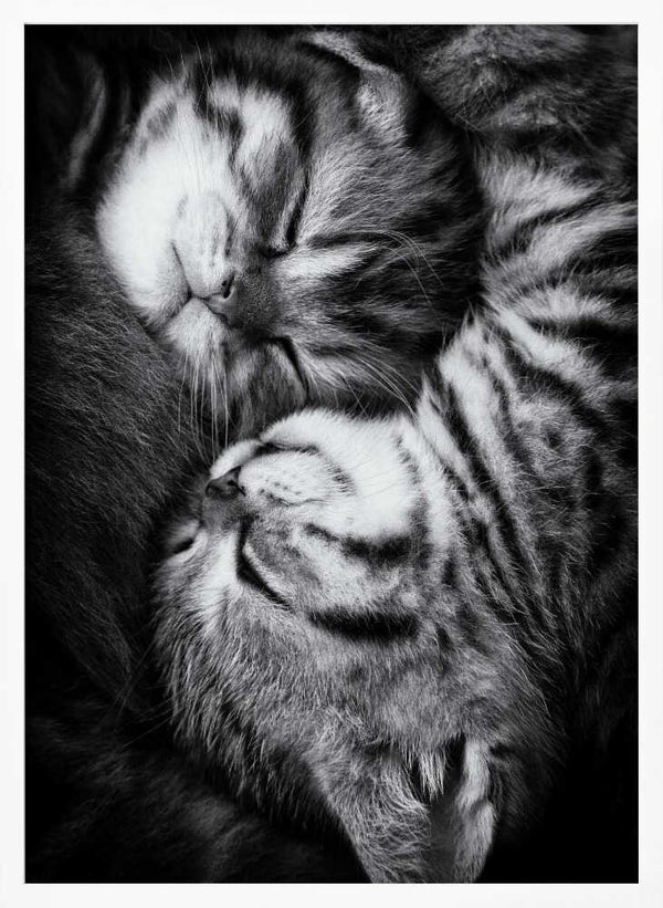 Tablou înramat „Yin and Yang” de Andrea Jancova