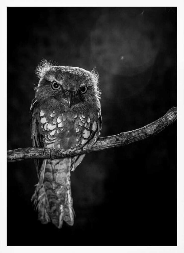 Tablou înramat „Alone in the night” de wilianto