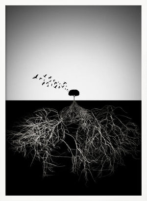 Tablou înramat „Do not judge according to appearance” de Souren  Arslanian