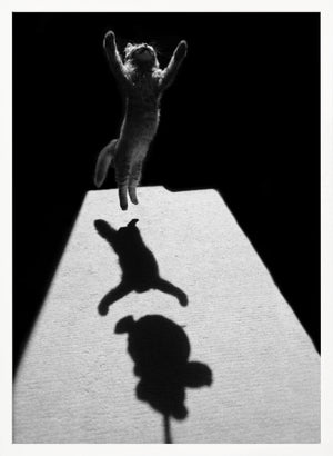 Tablou înramat „Edgar the great” de Jure Kravanja