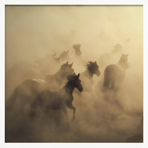 Tablou înramat „migration of horses” de Hüseyin Taşkın
