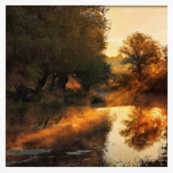 Tablou înramat „When nature paints with light I” de Leicher Oliver