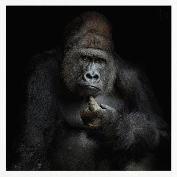 Tablou înramat „IMHO ....” de Antje Wenner-Braun