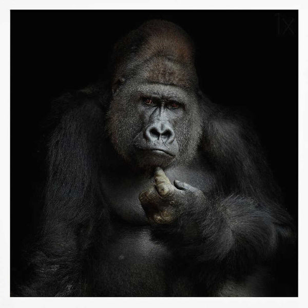 Tablou înramat „IMHO ....” de Antje Wenner-Braun