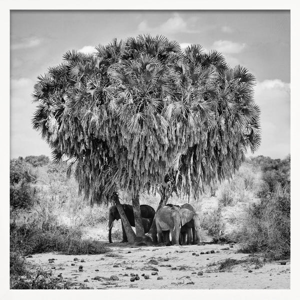 Tablou înramat „Noon meeting” de Marcel Rebro