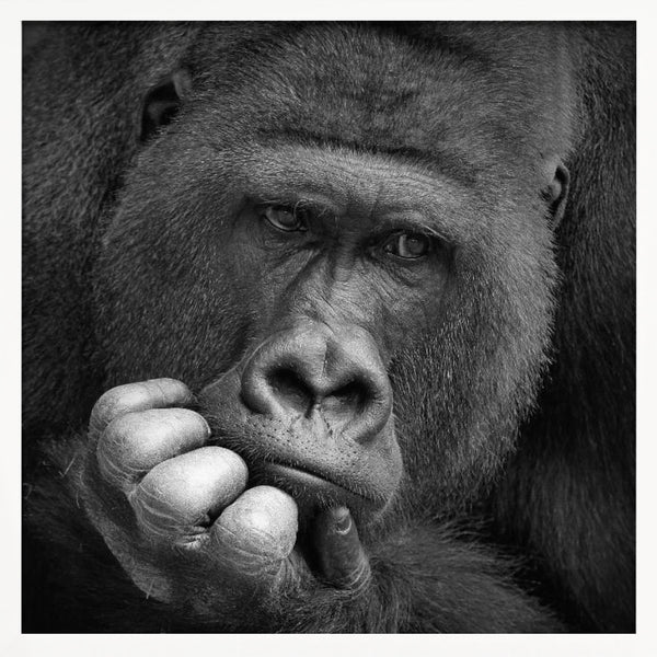 Tablou înramat „I had a Dream” de Antje Wenner-Braun