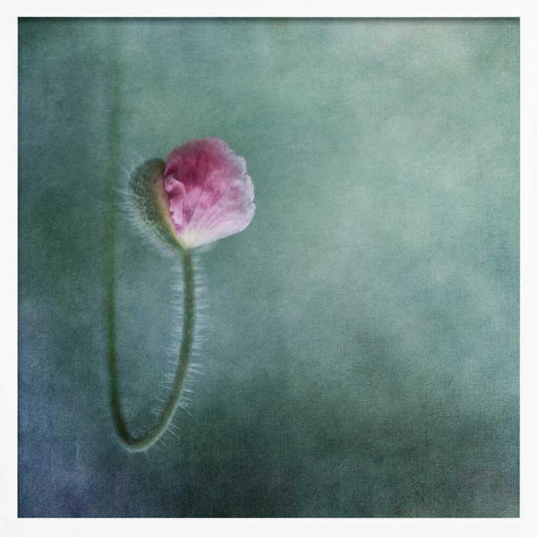 Tablou înramat „Trust” de Priska Wettstein