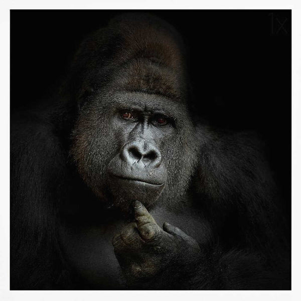 Tablou înramat „ego cogito, ergo sum” de Antje Wenner-Braun